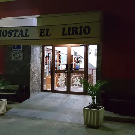 Hostal Restaurante El Lirio-3